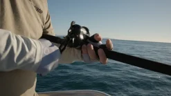 Accurate Conventional>Ascender Star Drag Reels