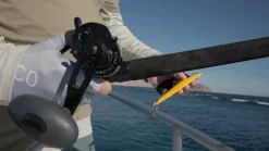 Accurate Conventional>Ascender Star Drag Reels