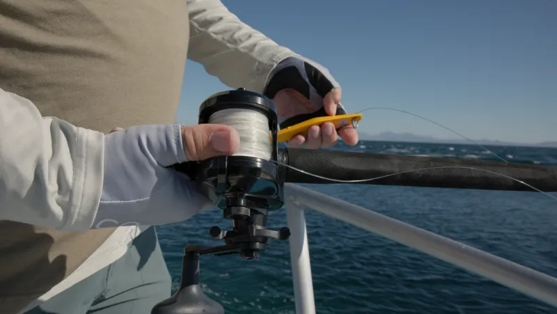 Accurate Conventional>Ascender Star Drag Reels