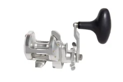 Accurate Conventional>Tern 2 Star Drag Reels