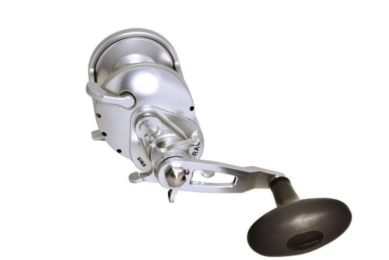 Accurate Conventional>Tern 2 Star Drag Reels