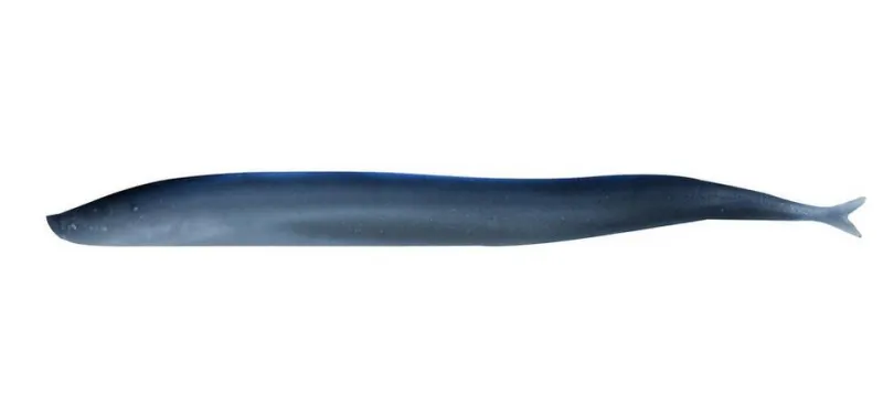 Berkley Soft Baits>Gulp! Saltwater Sand Eel Soft Baits