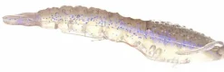 Berkley Soft Baits>Gulp! Translucent Shrimp Soft Baits