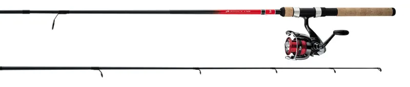 Daiwa Combos|Spinning>2025 D-Shock II FW Spinning Combos