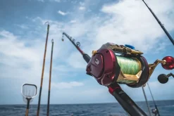 Daiwa Electric>2024 Seaborg 1800M-RJ Electric Reel