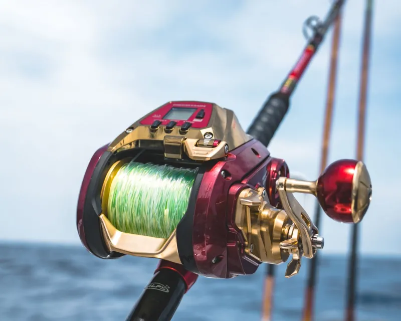 Daiwa Electric>2024 Seaborg 1800M-RJ Electric Reel