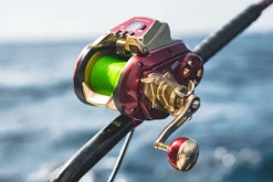 Daiwa Electric>2024 Seaborg 1800M-RJ Electric Reel