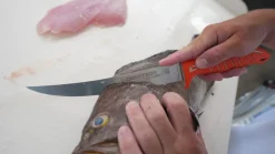 Dexter Russell Knives & Scissors|Tools>Dexter Dextreme 8" Single Edge Max Flex Fillet Knife with Sheath