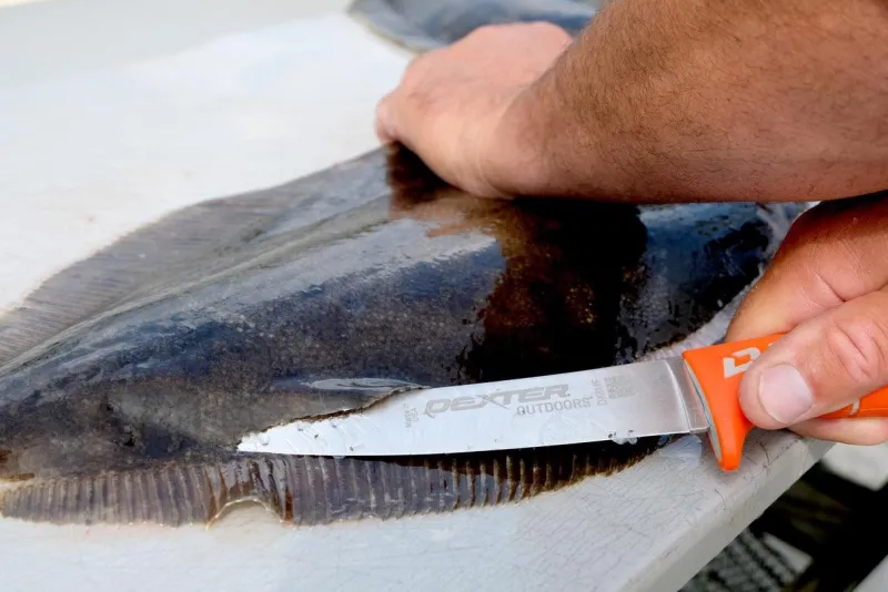 Dexter Russell Knives & Scissors|Tools>Dexter Dextreme 8" Single Edge Max Flex Fillet Knife with Sheath