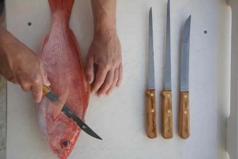 Dexter Russell Knives & Scissors|Tools>Dexter 6" Traditional Boning Knife