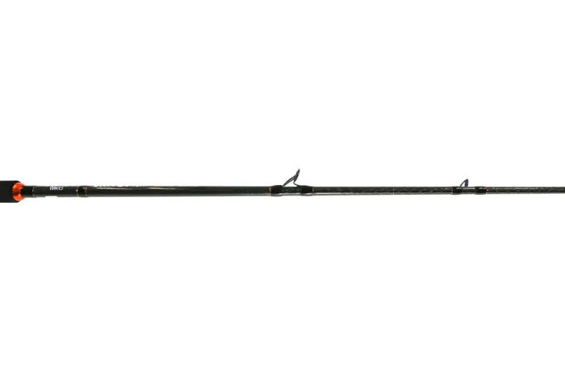 Jigging World Casting>Black Demon Rods