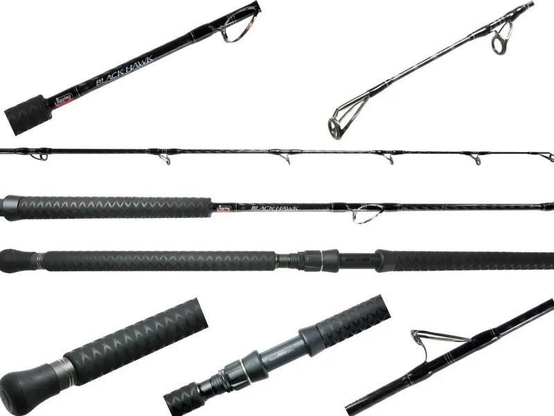 Jigging World Trolling|Casting>Black Hawk Casting Rods