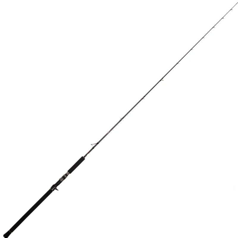 Jigging World Casting>Black Widow 2.0 Casting Rods