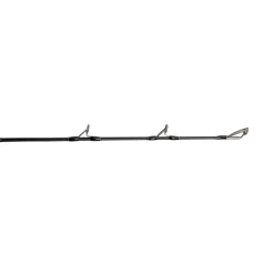 Jigging World Casting>Black Widow 2.0 Casting Rods