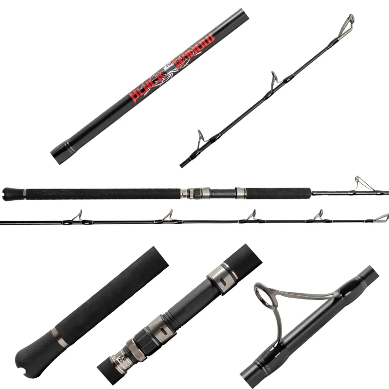Jigging World Casting>Black Widow 2.0 Casting Rods
