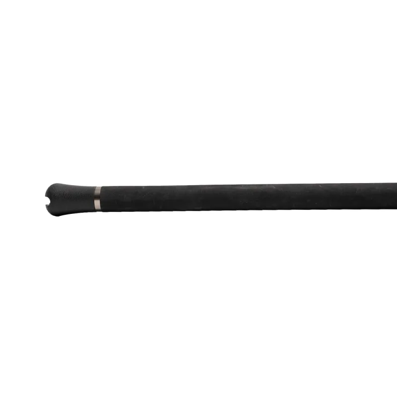 Jigging World Casting>Black Widow 2.0 Casting Rods