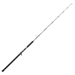 Jigging World Casting>Black Widow 2.0 Hi-Pitch Casting Rods