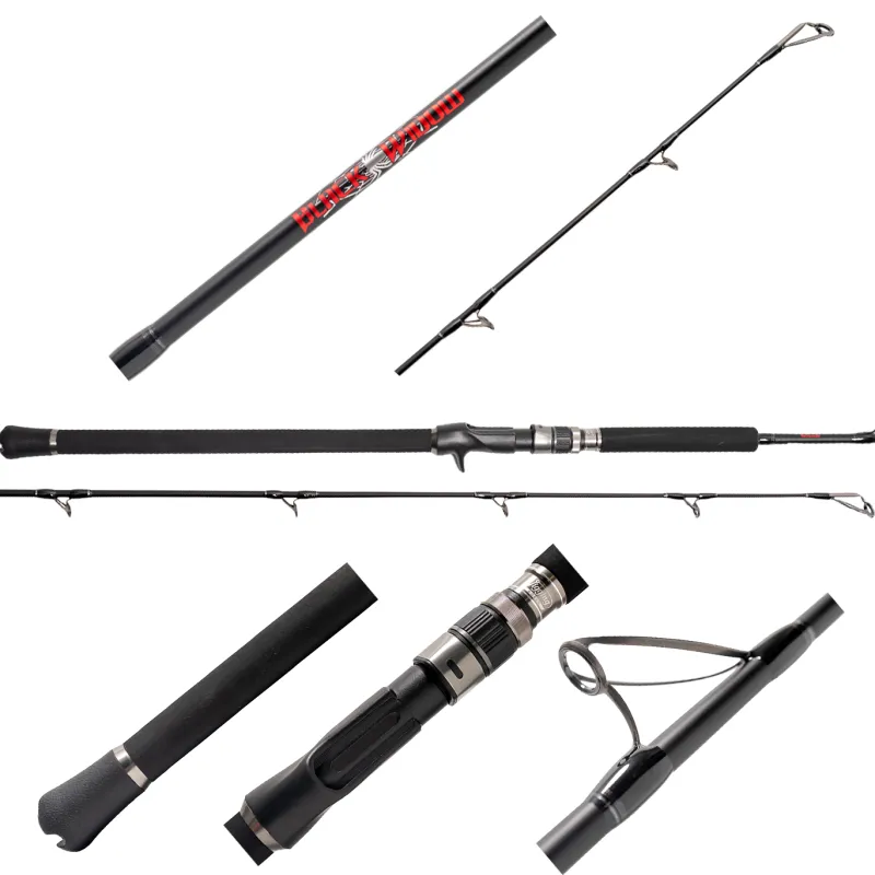 Jigging World Casting>Black Widow 2.0 Long Fall Casting Rods