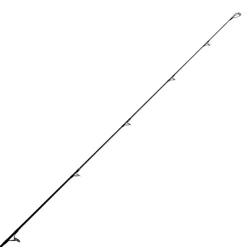 Jigging World Casting>Black Widow 2.0 Shore Spinning Rods