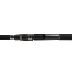 Jigging World Casting>Black Widow 2.0 Shore Spinning Rods