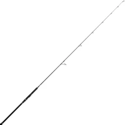 Jigging World Casting>Black Widow 2.0 Shore Spinning Rods