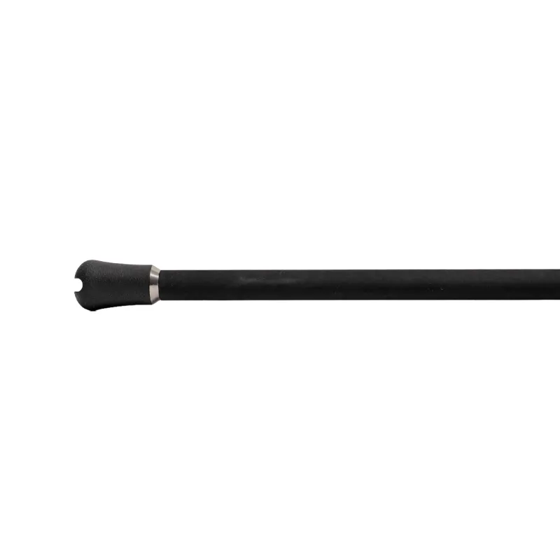 Jigging World Casting>Black Widow 2.0 Shore Spinning Rods