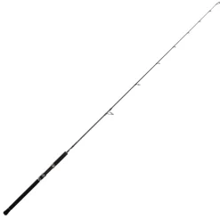 Jigging World Casting>Black Widow 2.0 Spinning Rods