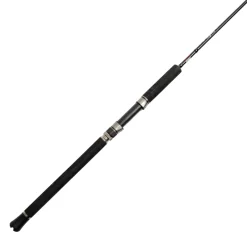 Jigging World Casting>Black Widow 2.0 Spinning Rods