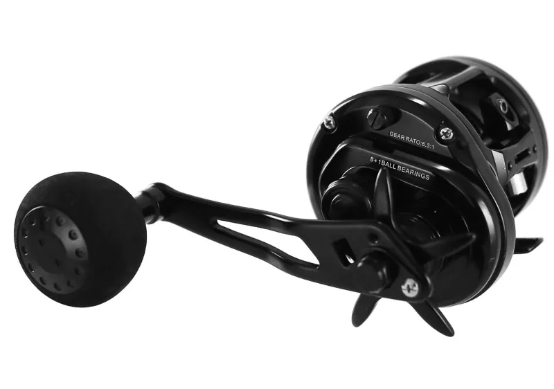 Jigging World Conventional>Eros 300 Star Drag Reels