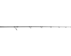 Jigging World Trolling|Spinning>Raptor Spinning Rods
