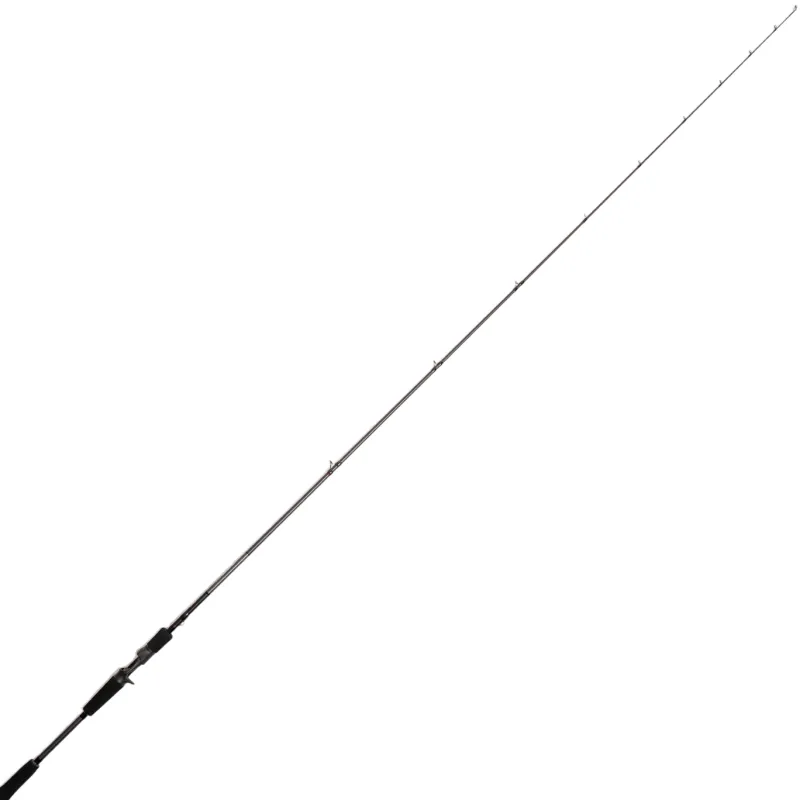 Jigging World Casting>Raze Casting Rods