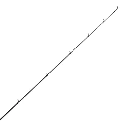 Jigging World Casting>Revel Casting Rods