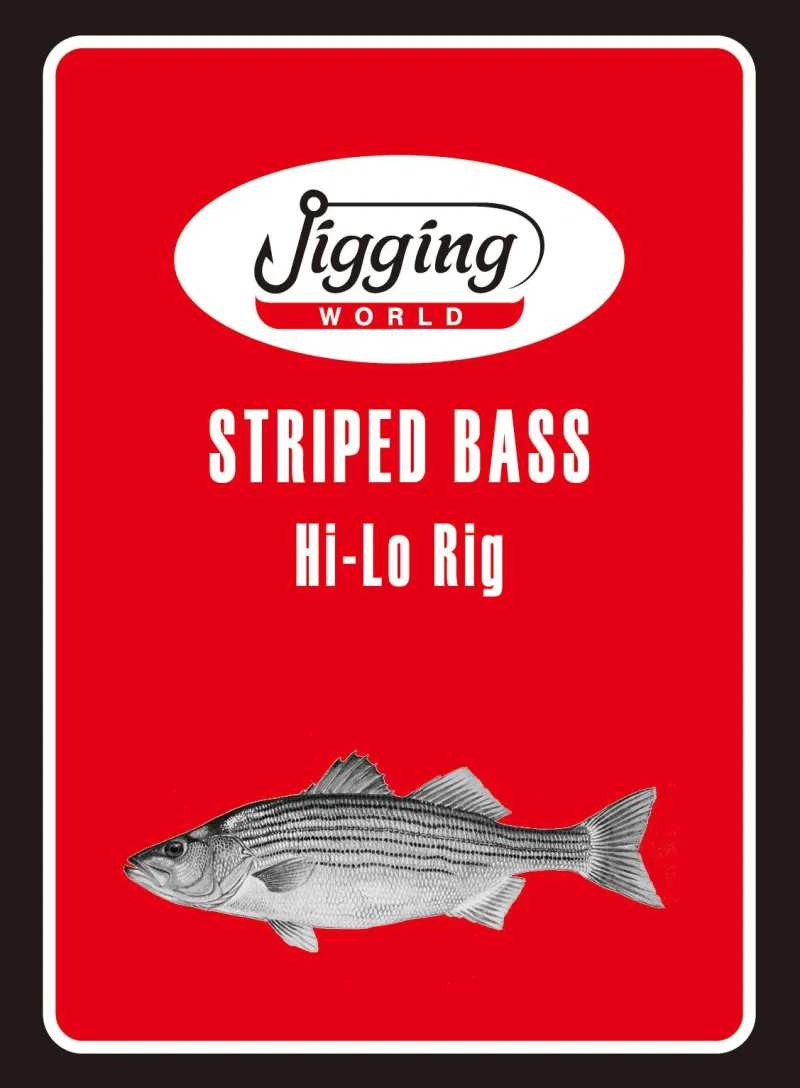 Jigging World Rigs>Striped Bass Rigs