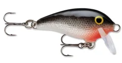 Rapala Hard Baits>Mini Fat Rap Crankbaits