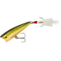 Rebel Hard Baits>Teeny Pop-R Poppers