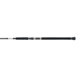 Shimano Spinning>2025 Grappler Type C Spinning Rods A