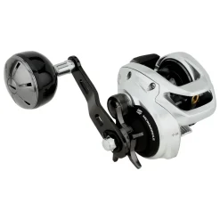 Shimano Baitcasting>2025 Tranx 300 B Baitcasting Reels