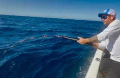 Tony Maja Casting>Blackfish Casting Rods
