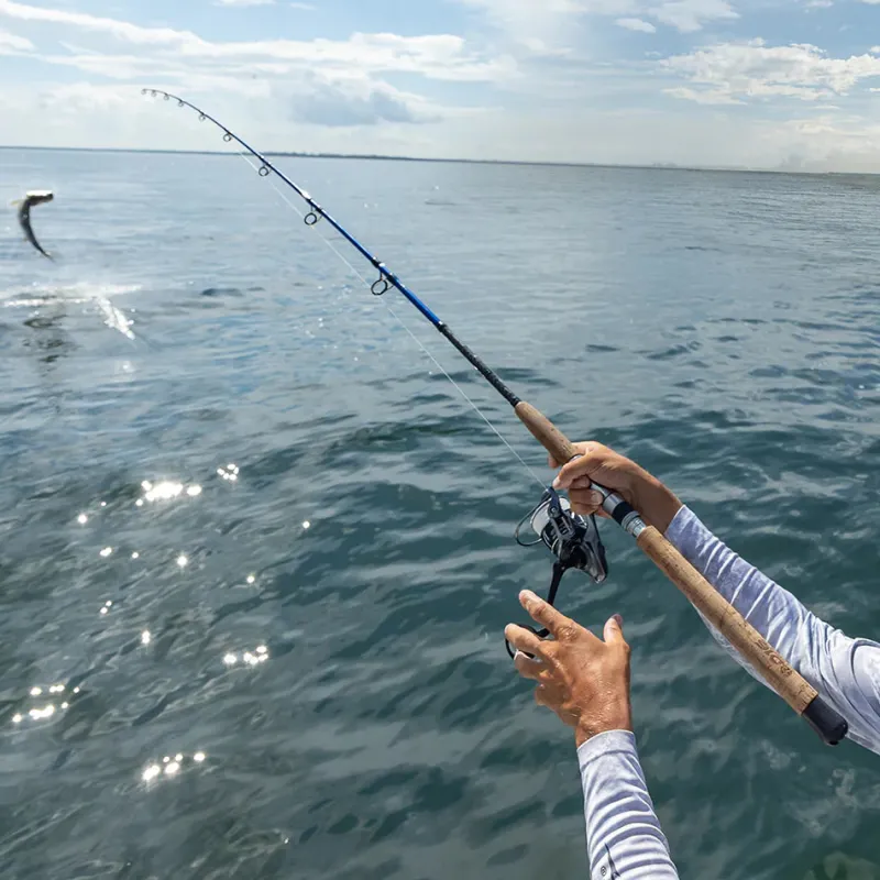 Tsunami Spinning>2025 Shield II Spinning Reels