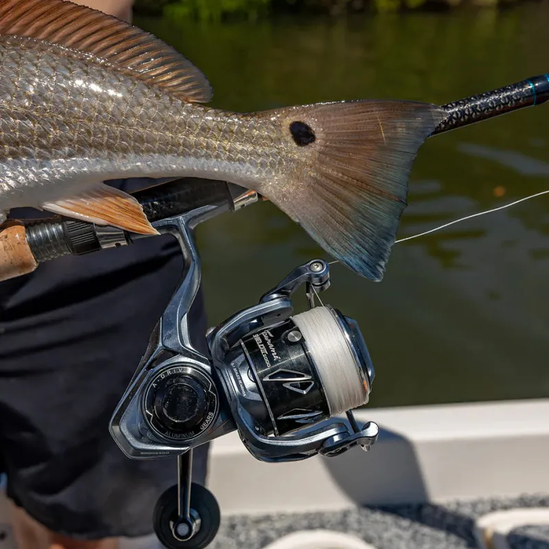 Tsunami Spinning>2025 Shield II Spinning Reels